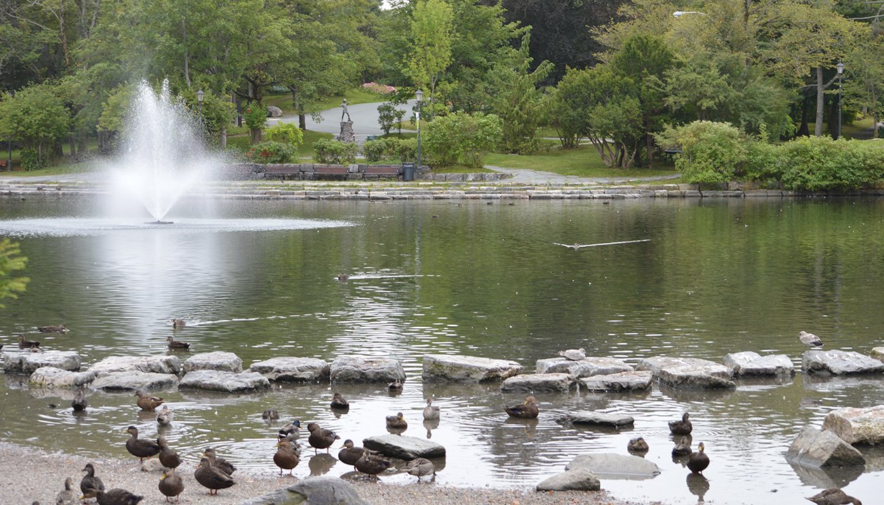 Bowring Park Duck Pond with a spraying fountain at the left, ducks in the foreground and a Peter Pan statue and seating area in the background on the far shore