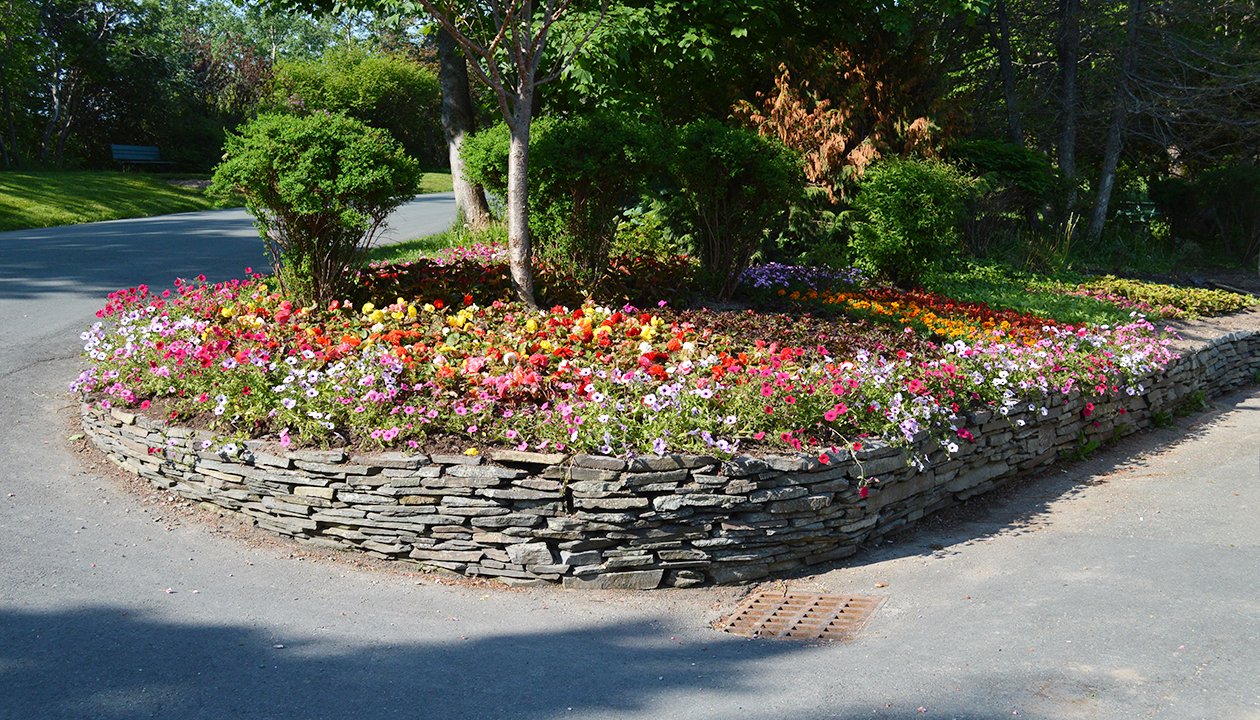 A bed of flowers located at the side of a roadway in Bowring Park