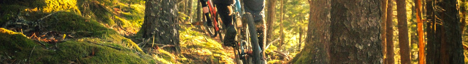 Group cycling on a trail