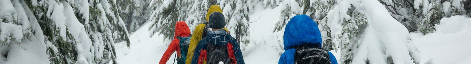 Group of people snowshoeing on trail