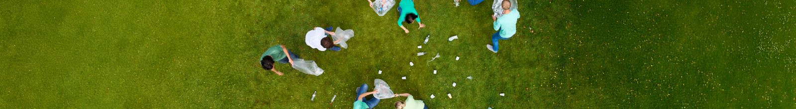 people cleaning up litter in a green space