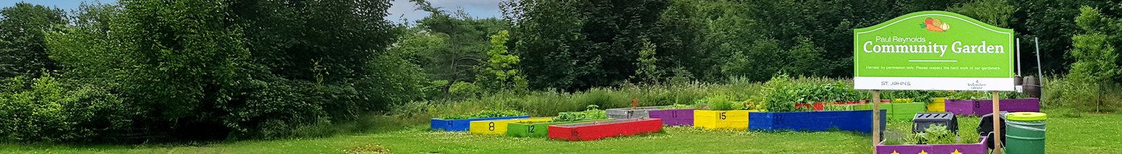 Image of community garden at Paul Reynolds Community Centre