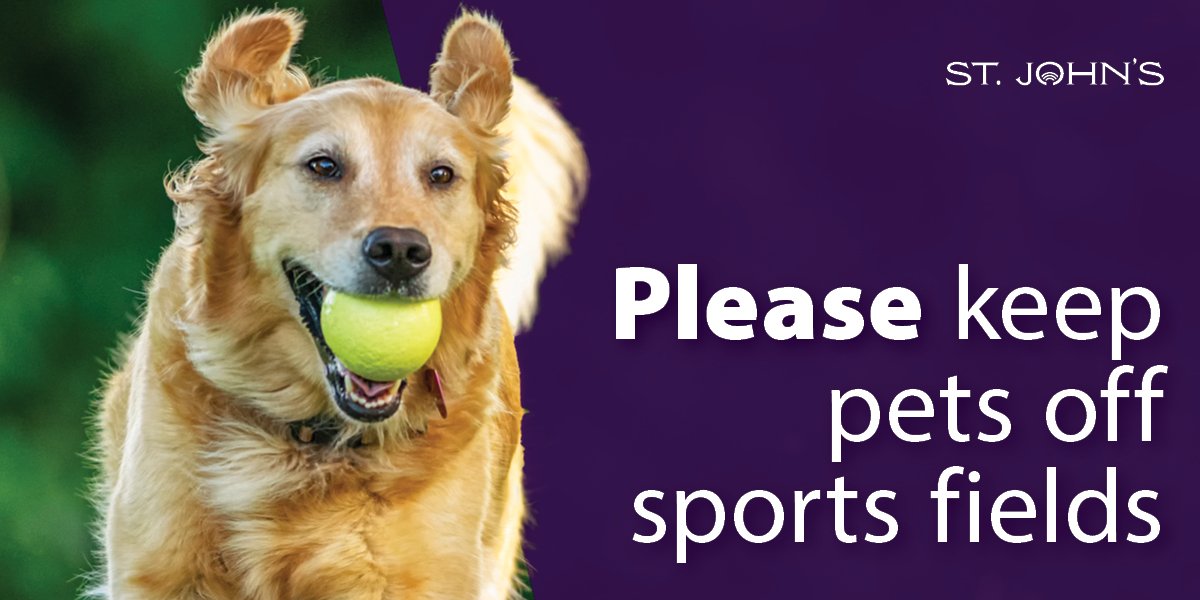 Image of a dog running with a ball. Text says 
