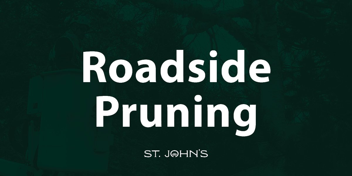 Dark green background with white text 