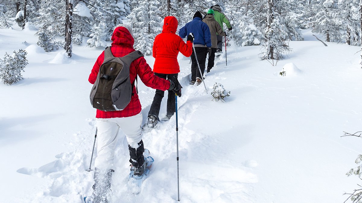 People snowshoeing in the woods during winter, with lots of snow on the ground and in the trees.
