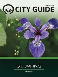 purple flower and greenery