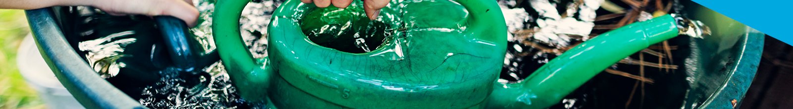 a close up of a watering can. 