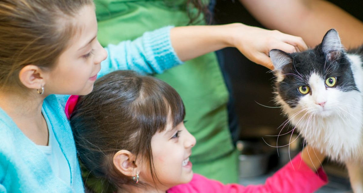 two small children are petting a black and white cat