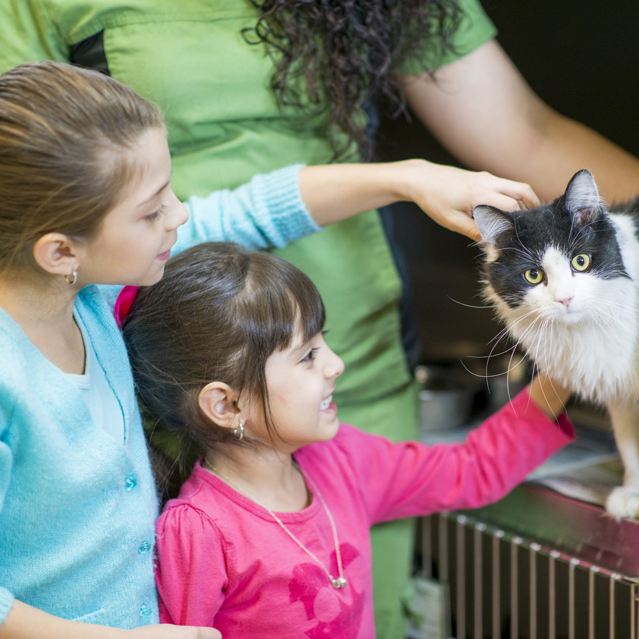 Two young girls petting a cat at the doorway to a pet enclosure at the shelter with pet care worker in the background