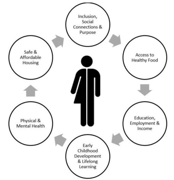 The six determinants of health, Inclusion, social connection and purpose, Access to healthy food, Education, Employment and Income, Early Childhood Development and Lifelong learning, Physical and Mental Health, safe Affordable Housing