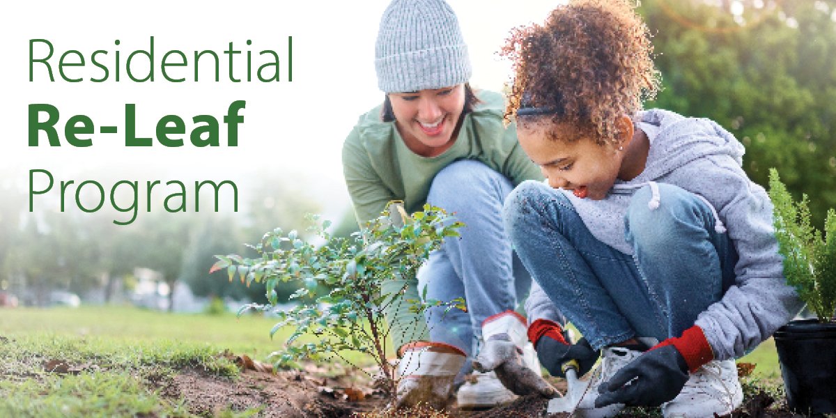 person and child planting a tree, text that says Residential Re-Leaf Program 