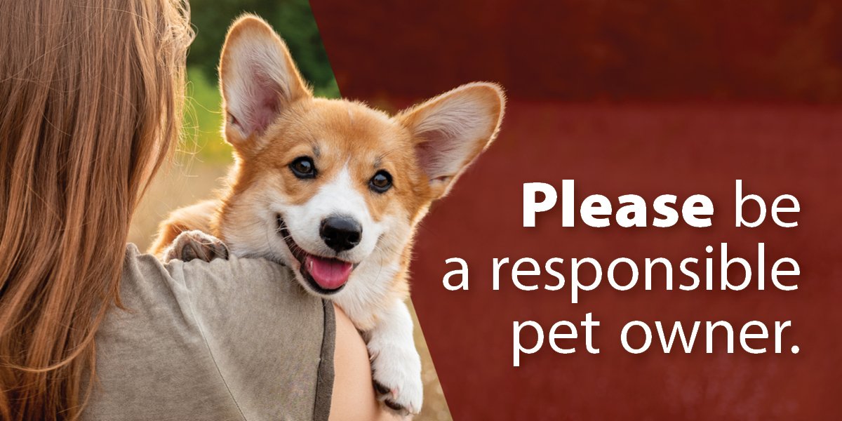 Image of a dog in a person's arms. Text says 