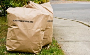 two paper yard waste bags on grass next to sidewalk