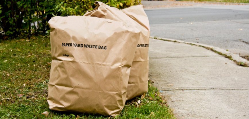 two paper yard waste bags are placed on a lawn next tow a sidewalk with the road in the background