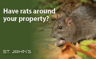 Rat on the ground with green background and white text that says Have rats around your property? 