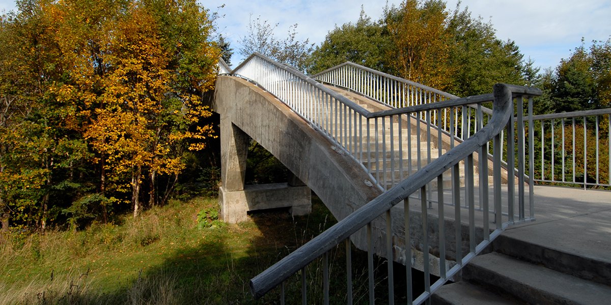 A concrete bridge with stairs, surrounded by grass and trees in the fall.