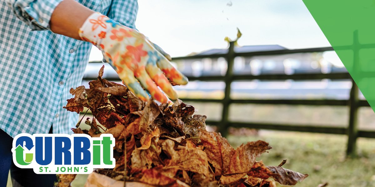 person placing leaves in a yard waste bag.