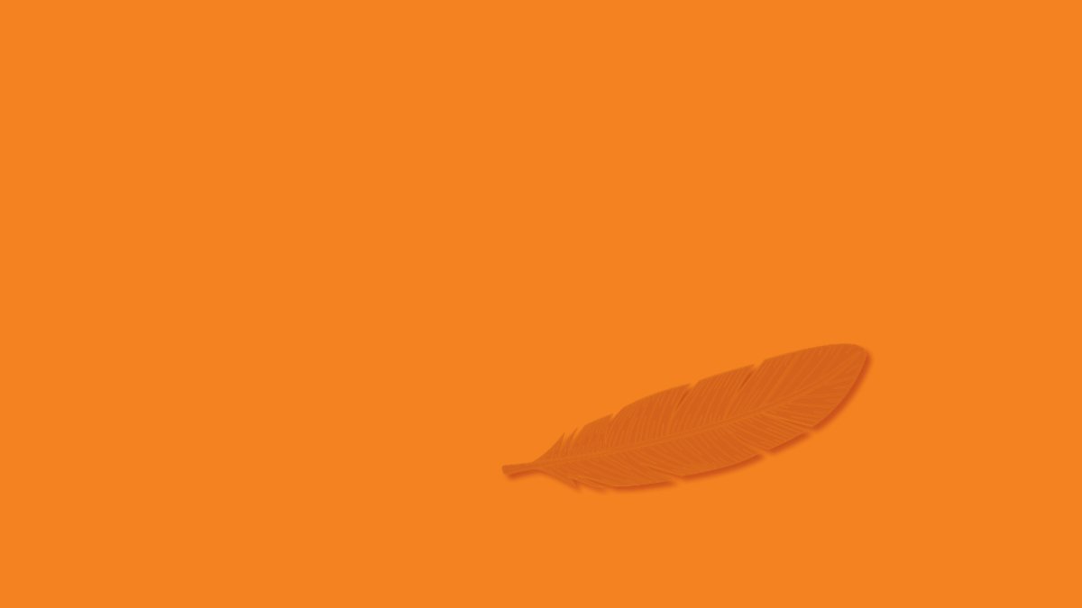orange rectangle with single feather