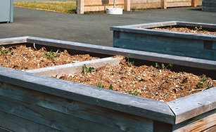 Image of Community Garden Plots