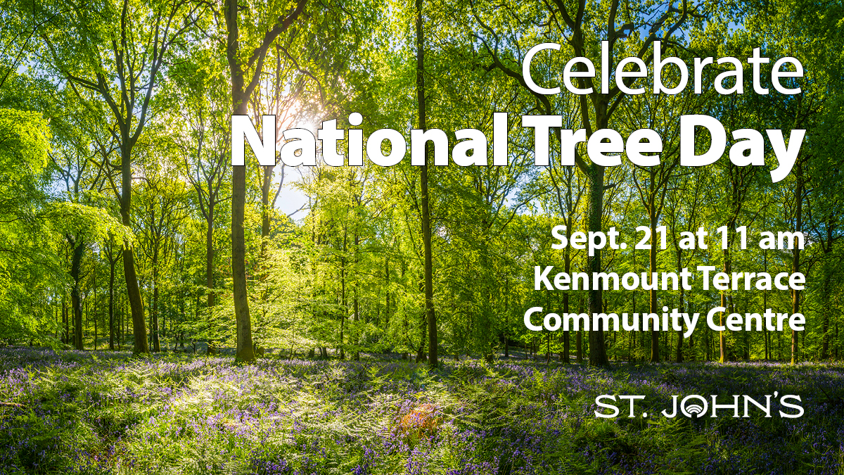 Forest in sunlight with text National Tree Day Kenmount Terrace Community Centre September 21