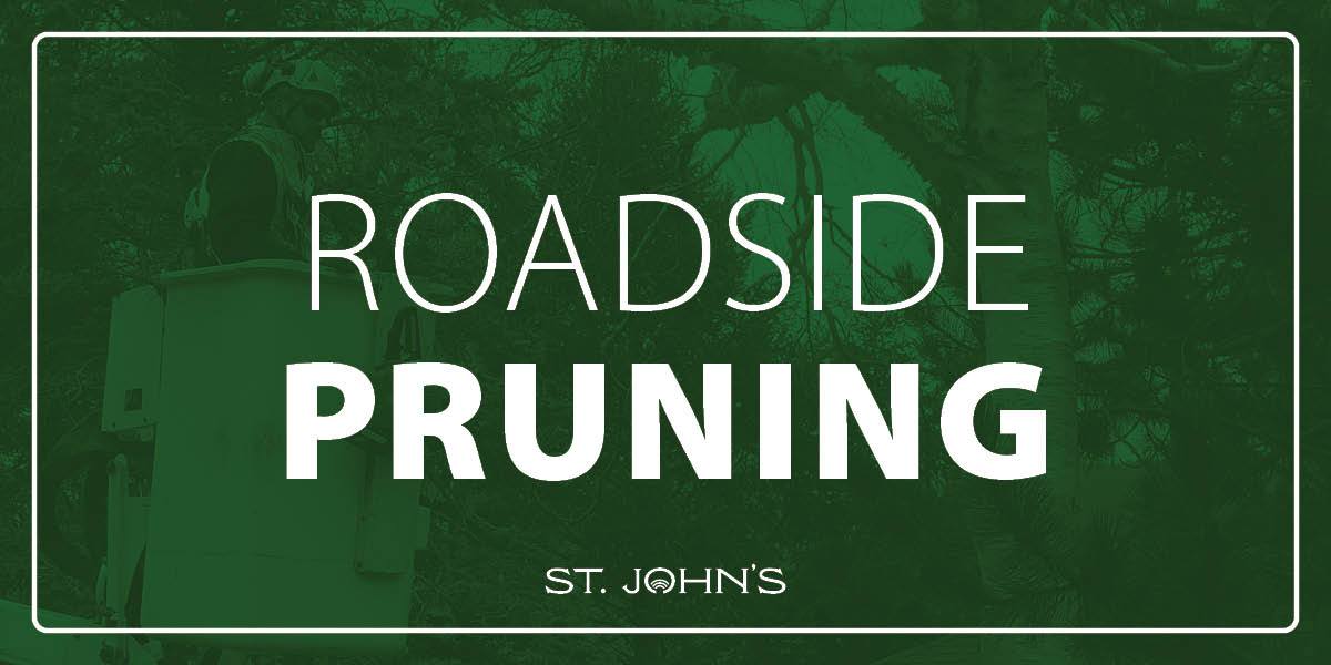 person pruning trees with green overlay and white text that says Roadside Pruning and includes St. John's logo. 
