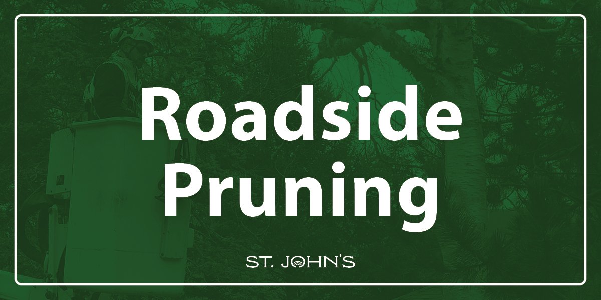 green background with white text that says Roadside Pruning. 