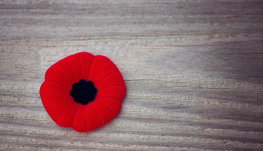 A red poppy on a grey background.