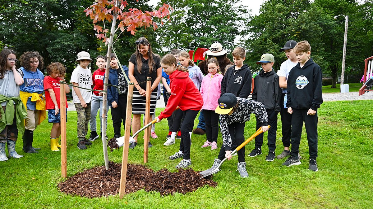 Deputy Mayor Sheilagh O'Leary planting a tree with students from St. Teresa's Elementary