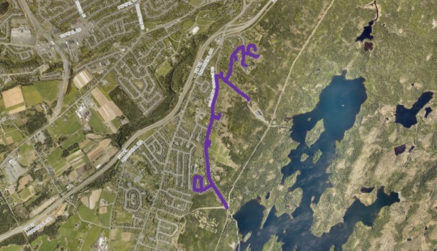 Aerial map with highlight of streets in purple