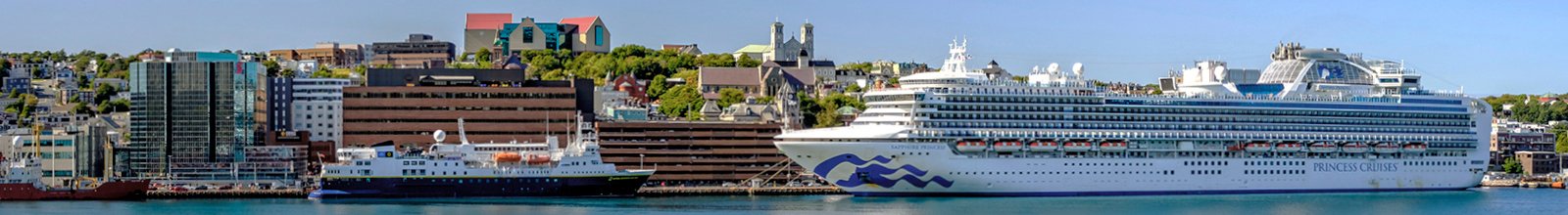 wide shot of St. John's Harbour with a cruise ship in the foreground