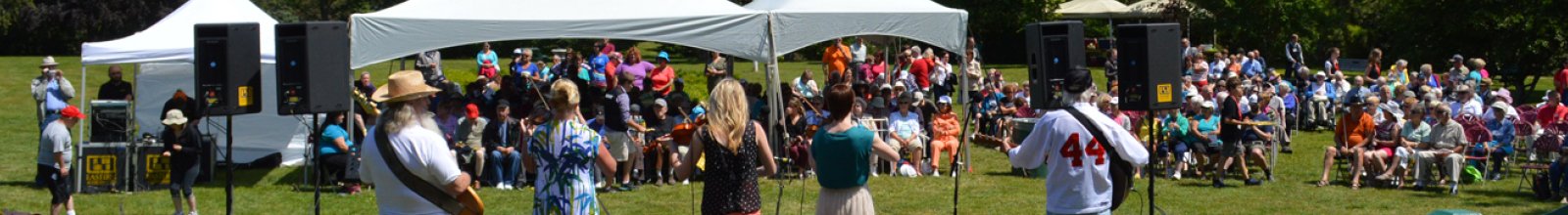 Group of people listening to live music on a green space with canopies