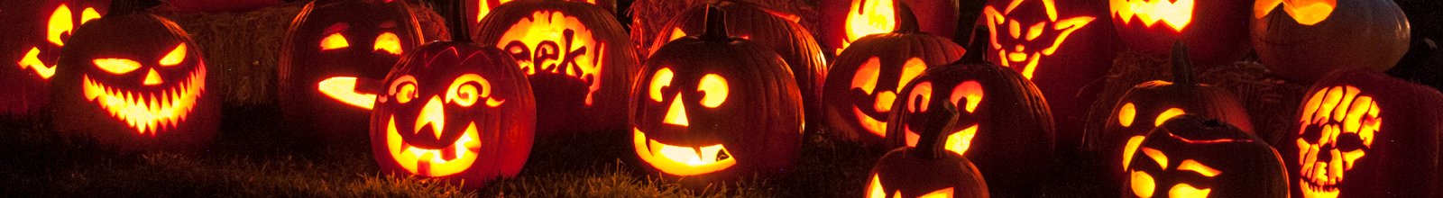 Group of illuminated, carved pumpkins