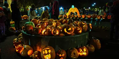 pumpkins set up for Pumpkin Walk