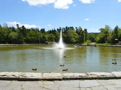 fountain at Bowring Park