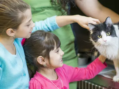 a picture of children petting a cat 
