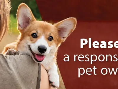 Pet-Owners---News-1200x600.jpg