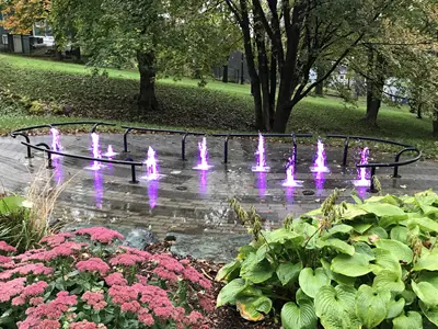 greenery at Victoria Park