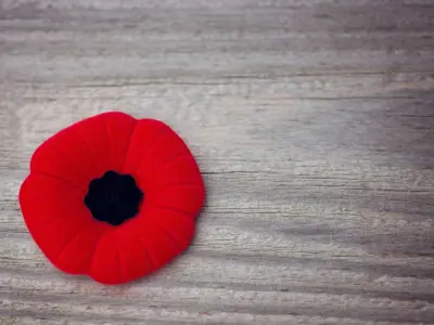 Remembrance-Day-Poppy.jpg