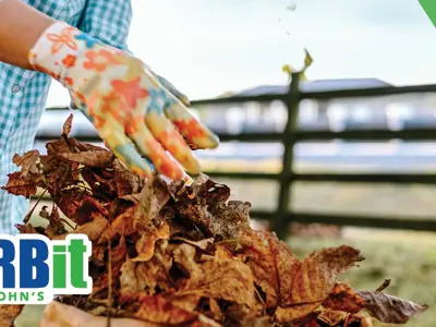 Curbit---Yard-Waste-News-Image-1200x600.jpg