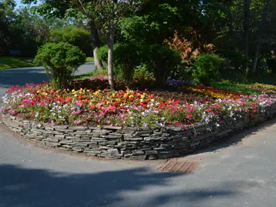 flowerbed at Bowring Park