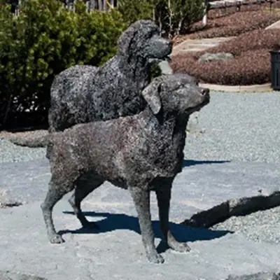 statue of two Newfoundland and Labrador dogs