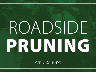 PSA-Tree-Pruning-News-1200x600.jpg