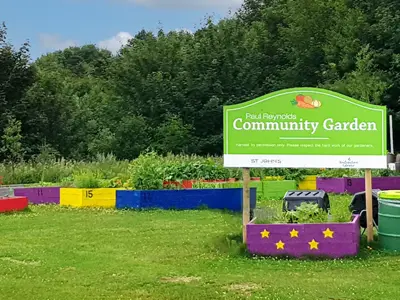 the community garden at Paul Reynolds Community Centre