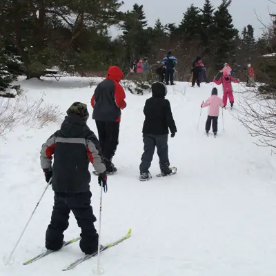 kids using skis