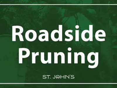 PSA-Tree-Pruning-News1200x600.jpg