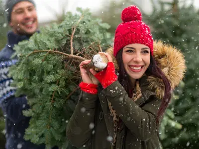 Waste-News---Real-Tree---1200x600.jpg