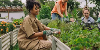 a person gardening 