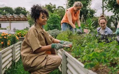 a person gardening 