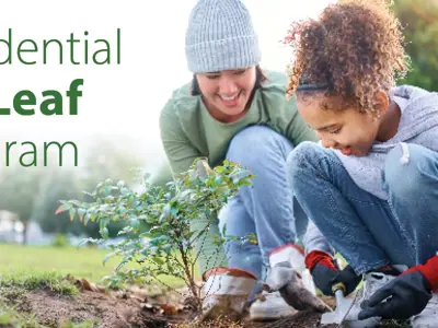City---RELEAF---News-Image-1200x600.jpg