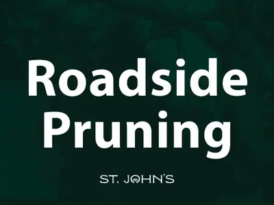 GR_Tree-Pruning-News-1200x600.jpg